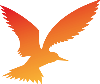 LimanSoft Logo